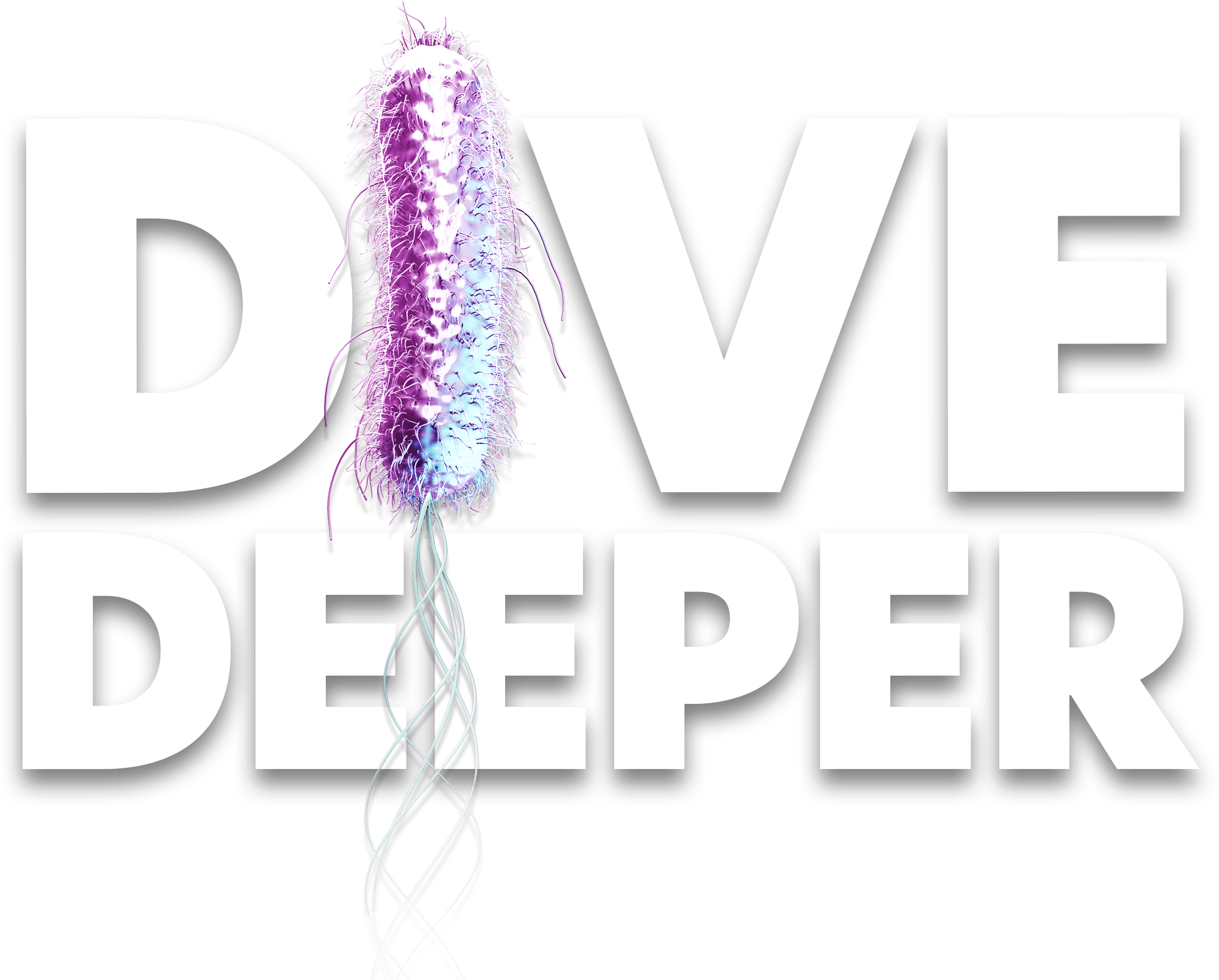 Dive deeper hero image