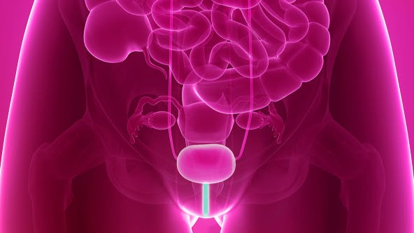 Urethritis image
