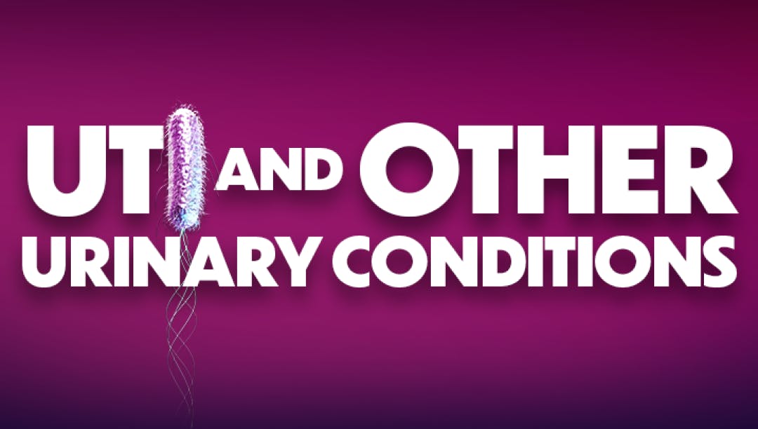 UTI and other urinary conditions hero image UTI and other urinary conditions