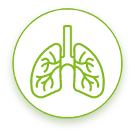 Icon: Protection from Severe Asthma Attacks Icon: Protection from Severe Asthma Attacks