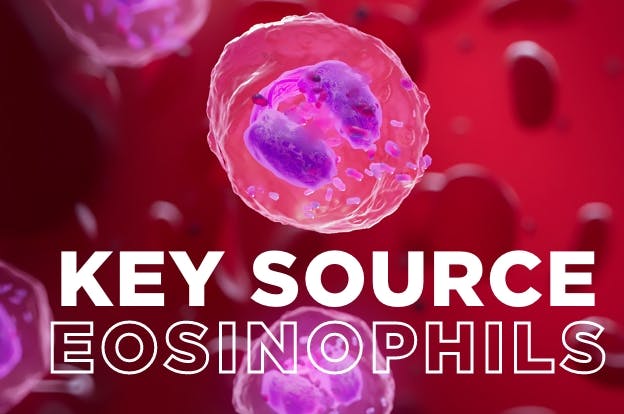 Eosinophils are a key source of severe asthma