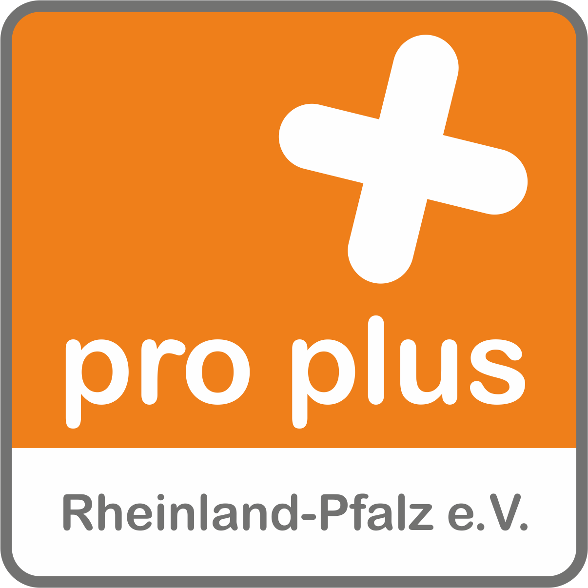 logo-pro plus rlp