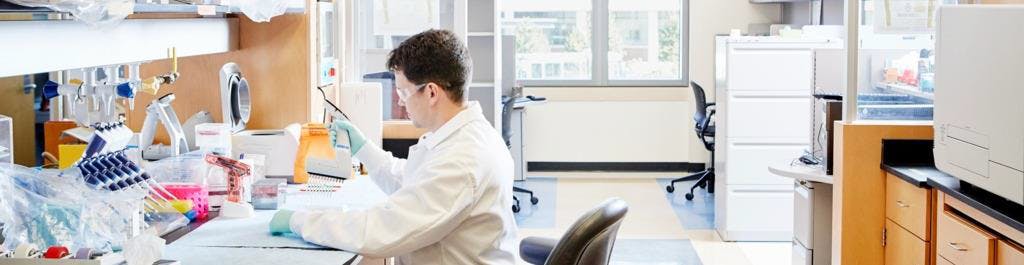 researcher at work