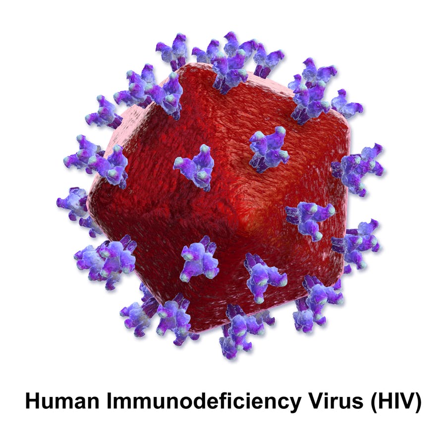 New Insights Into Hiv Transmission Viiv Healthcare