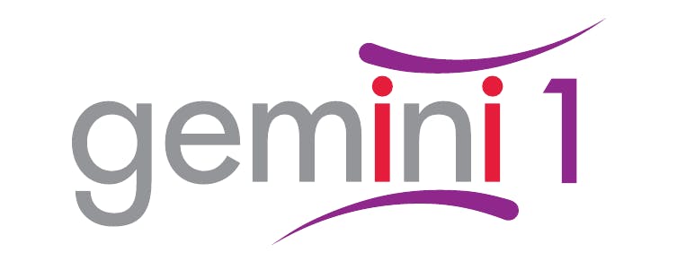GEMINI-1