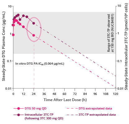 Chart showing the steady-state DTG plasma or intracellular 3TC-TP concentration-time profiles. Chart showing the steady-state DTG plasma or intracellular 3TC-TP concentration-time profiles.
