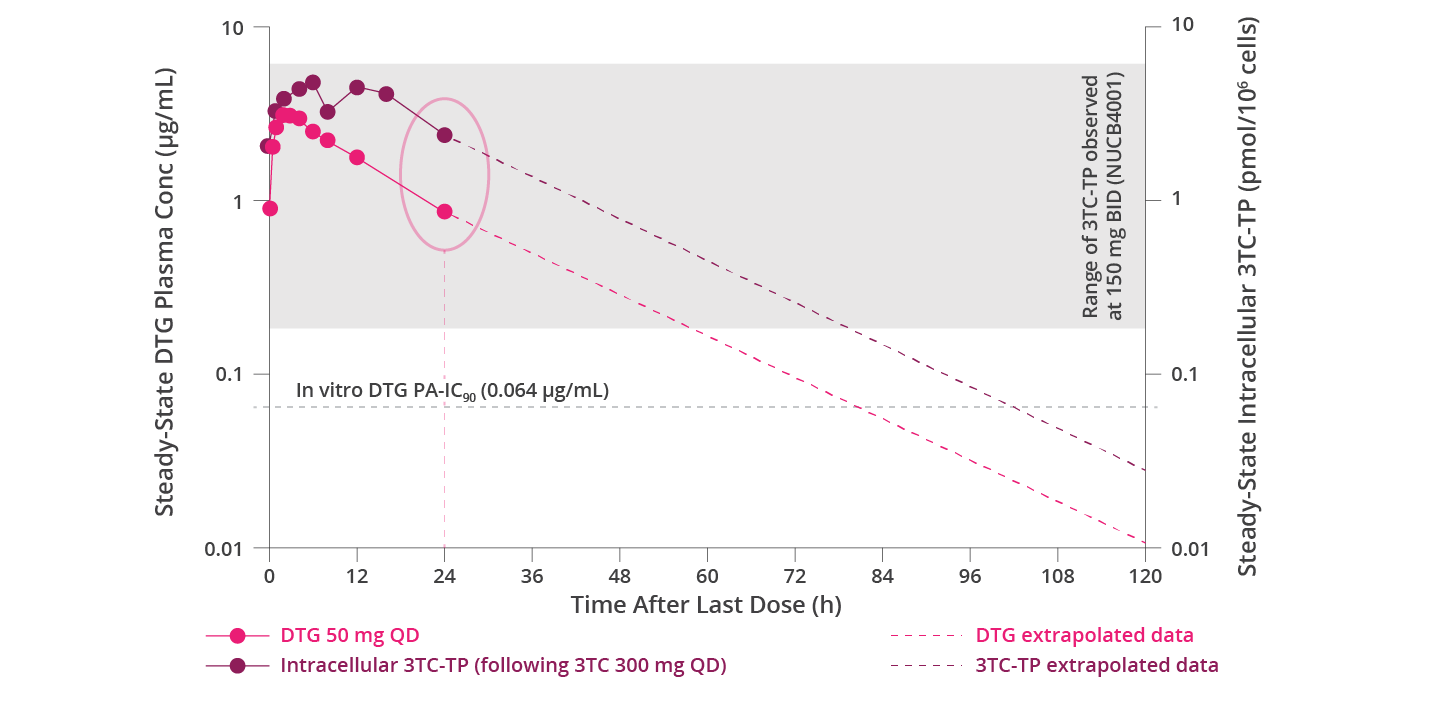 Chart showing the steady-state DTG plasma or intracellular 3TC-TP concentration-time profiles. Chart showing the steady-state DTG plasma or intracellular 3TC-TP concentration-time profiles.