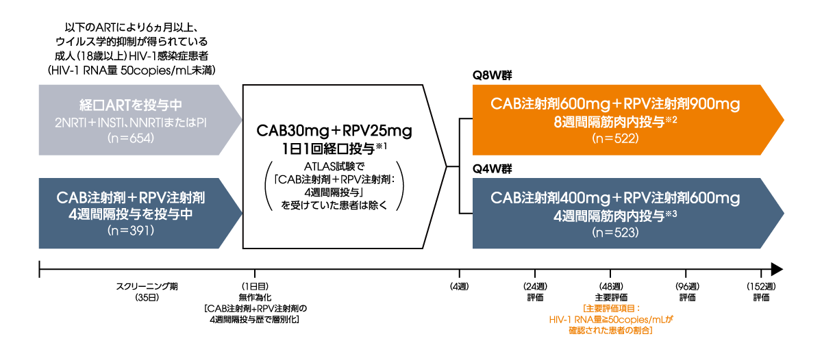 ATLAS-2M試験：試験デザイン