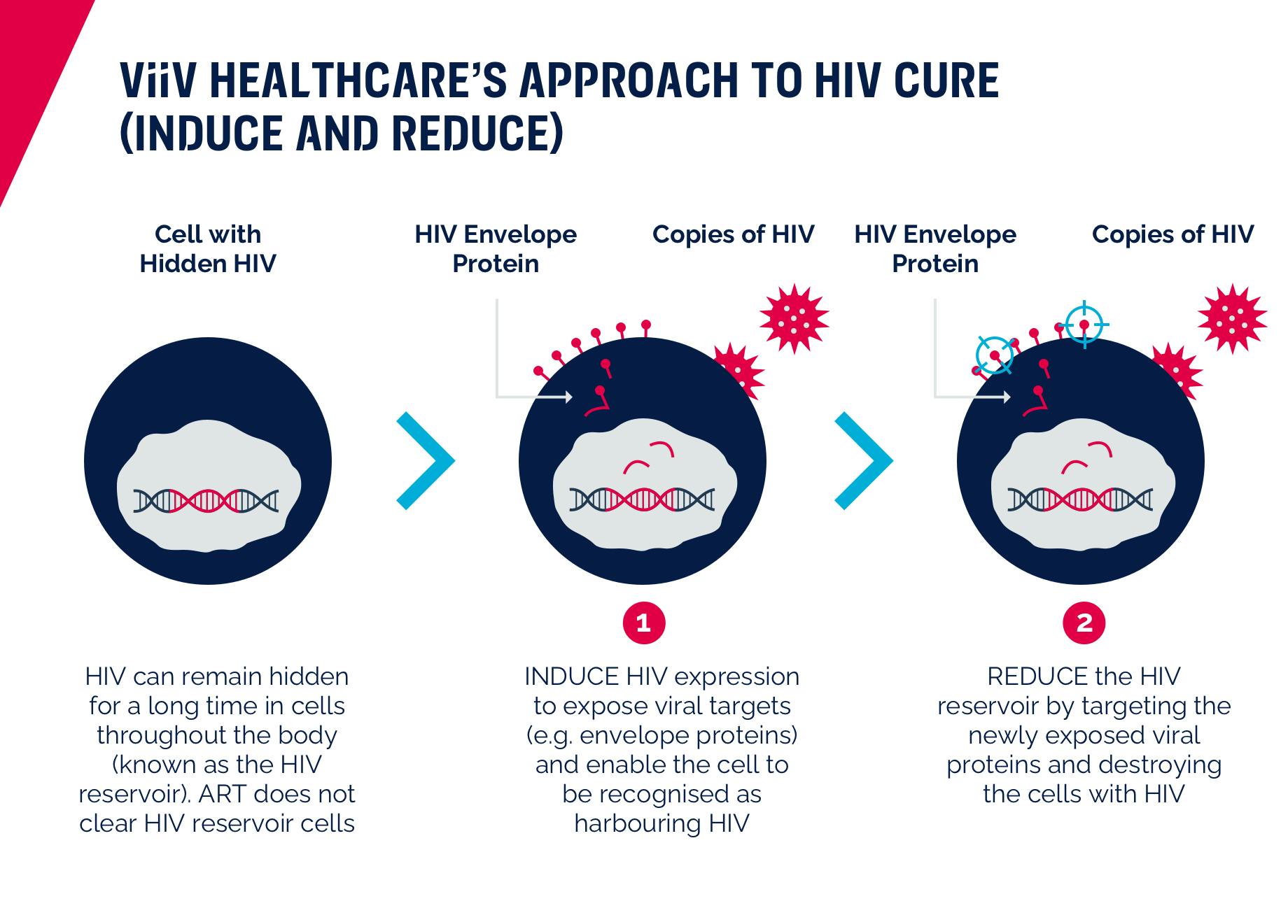 HIV Cure: The goal to end the HIV epidemic | ViiV Healthcare