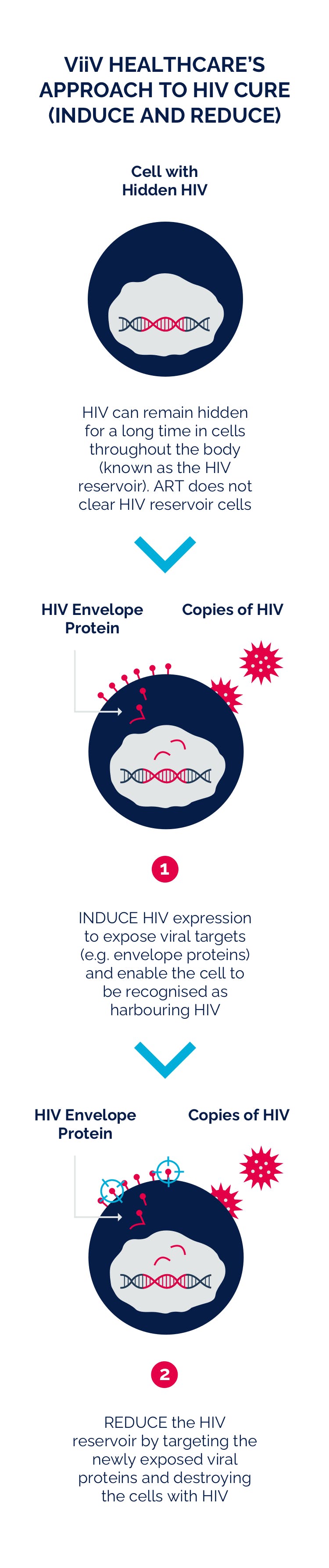 $titleMobileImage Infographic explaining ViiV Healthcare approach of induce-reduce to HIV cure