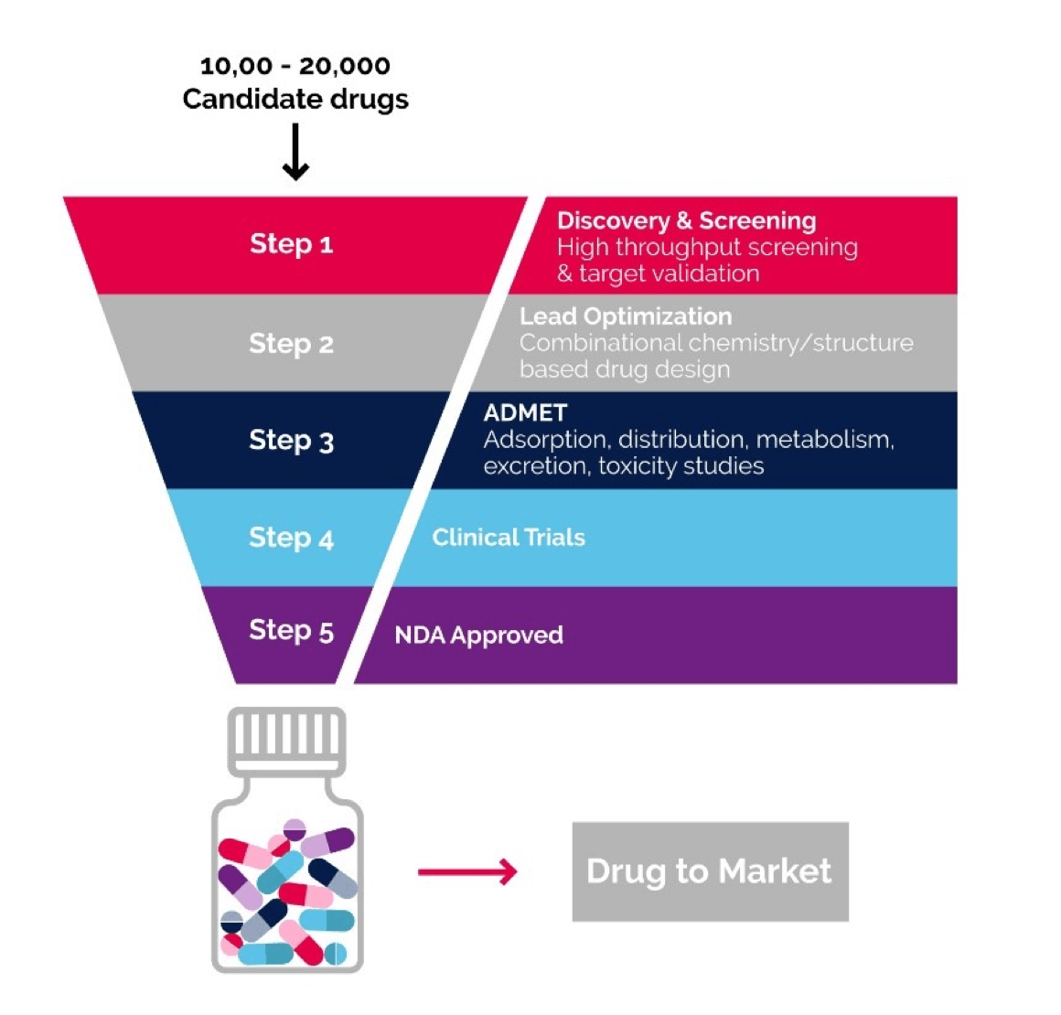 Graphic showing 5 steps of drug production which include: Step 1 – Discovery & Screening, step 2 – Lead optimisation, step 3 Adsorption, distribution, metabolism, excretion, toxicity studies; step 4 – clinical trials; step 5 NDA approval Graphic showing 5 steps of drug production which include: Step 1 – Discovery & Screening, step 2 – Lead optimisation, step 3 Adsorption, distribution, metabolism, excretion, toxicity studies; step 4 – clinical trials; step 5 NDA approval