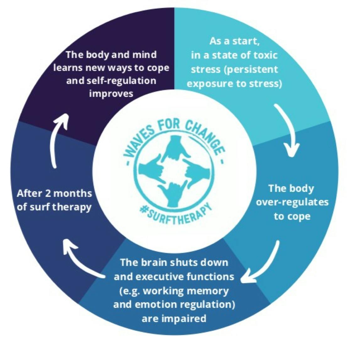 W4C cycle of self-regulating physical and mental impact