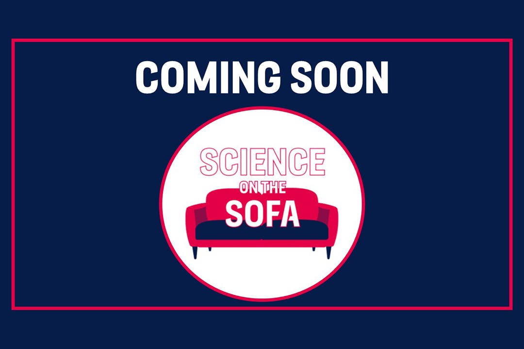 Coming Soon SOTS