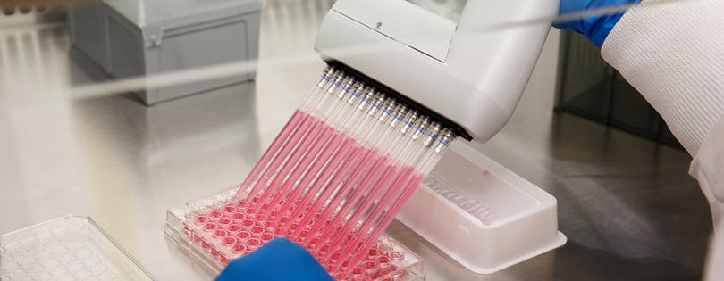 lab equipment and pipets