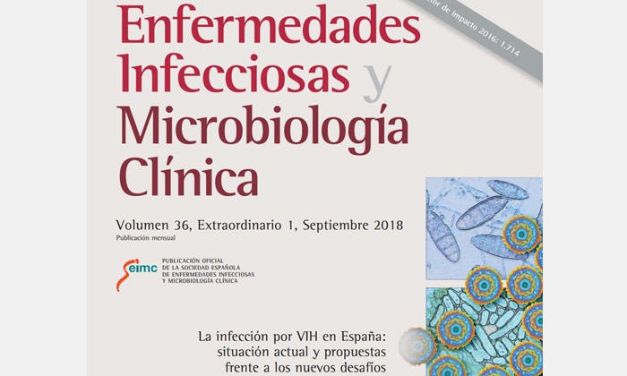 La infección por VIH en España: situación actual y propuestas frente a los nuevos desafíos
