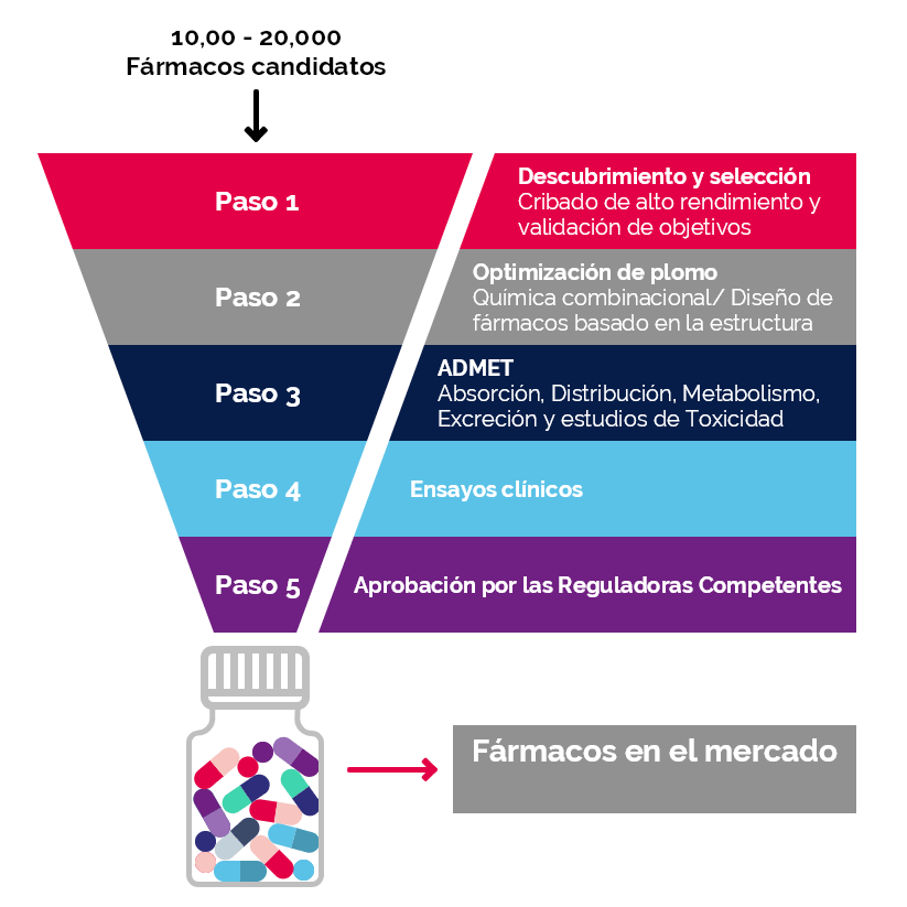 Tabla explicativa de los pasos a seguir para lograr fármacos en el mercado